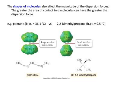 Comparison of dispersion forces in pentane and 2,2-dimethylpropane