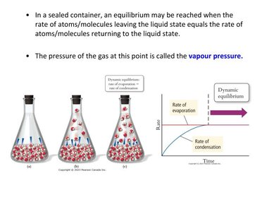 Graphs of ln P vs 1/T for various liquids