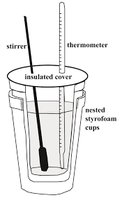 Coffee cup calorimeter setup