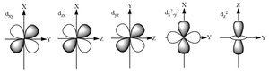 d orbital shapes