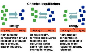 Diagram showing chemical equilibrium and energy changes