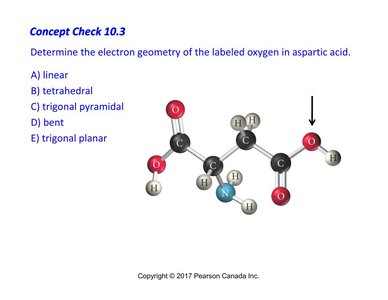 Electron geometry question for aspartic acid