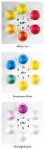 Indicator color changes at different pH