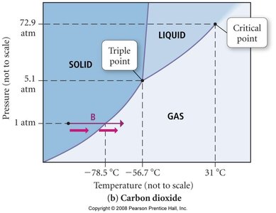 Phase diagrams for CO2 and H2O