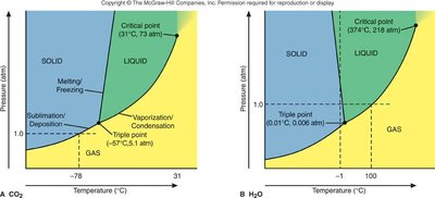 Phase diagrams for CO2 and H2O