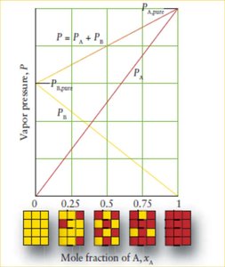 Vapor pressure vs mole fraction