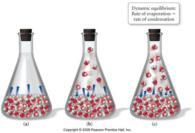 Dynamic equilibrium in flasks