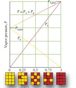 Vapor pressure of liquid mixtures