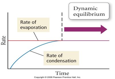 Dynamic equilibrium graph