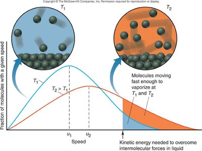 Boltzmann distribution and vaporization