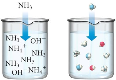 Weak base ionization (NH3)