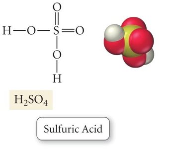 Sulfuric acid molecule