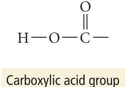 Carboxylic acid group
