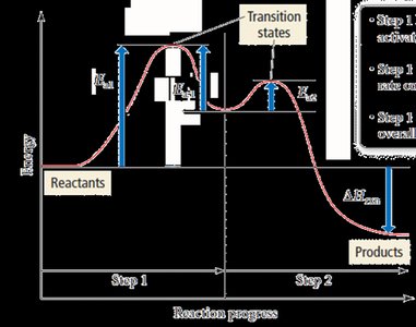 Traffic analogy for rate-limiting step