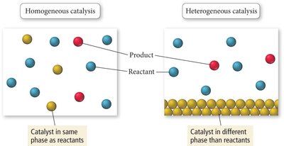 Homogeneous vs heterogeneous catalysis