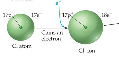 Anion formation and size change