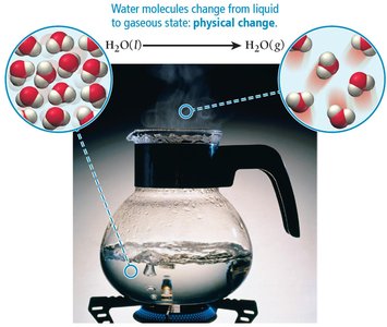 Boiling water: physical change