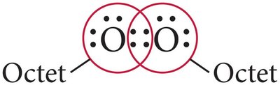 Octet completion in O2