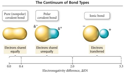 Bond type continuum
