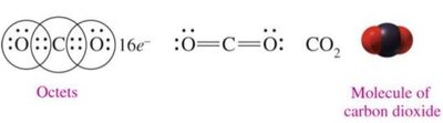 CO2 molecule representation