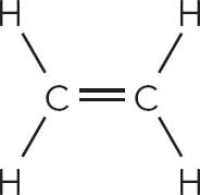 Butane space-filling model