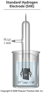 Standard hydrogen electrode (SHE)