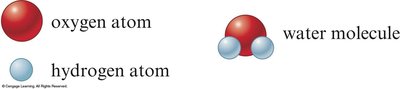 Diagram showing atoms and molecules