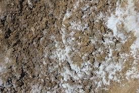 Sand and water mixture