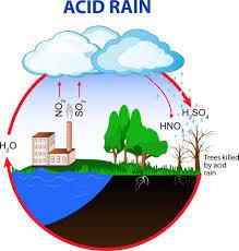 Acid rain cycle