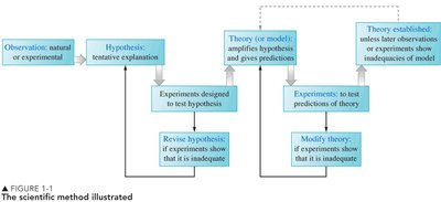 Flowchart of the scientific method: observation, hypothesis, experiment, theory, and revision