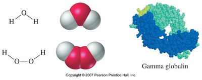 Molecular representations of compounds and proteins