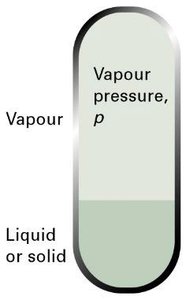 Diagram showing vapor pressure in equilibrium with liquid or solid