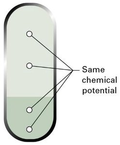 Diagram showing chemical potential equal in all phases at equilibrium