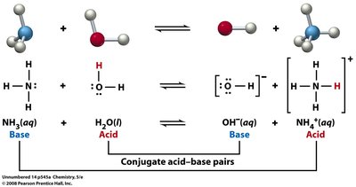 Ammonia and water acid–base reaction