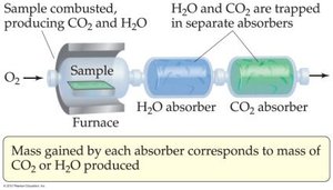 Combustion analysis apparatus