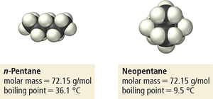 Molecular shape affects area for interaction