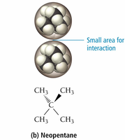 Branched-chain neopentane: small area for interaction