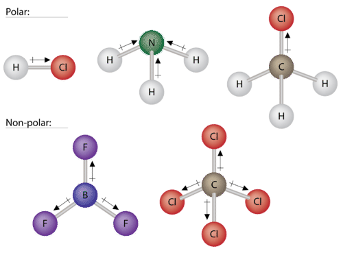 Hydrogen chloride (HCl) molecule showing dipole
