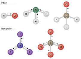 Molecular polarity: HCl, NH3, CH3Cl (polar); BF3, CCl4 (nonpolar)