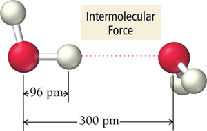 Intermolecular force between water molecules