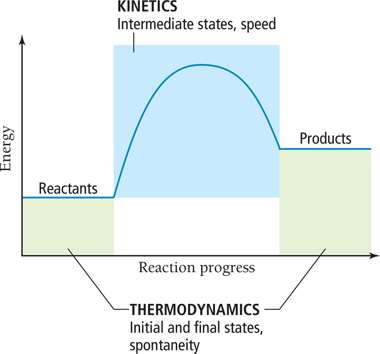 Energy diagram showing kinetics and thermodynamics