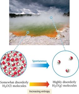 Evaporation increases entropy