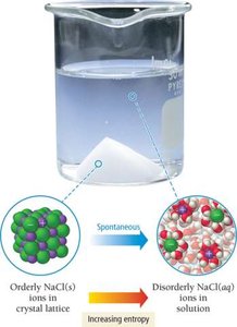 Dissolving salt increases entropy