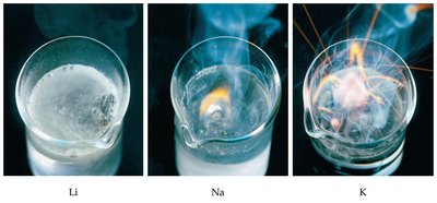Alkali metals reacting with water
