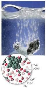 Alkaline earth metal reacting with water