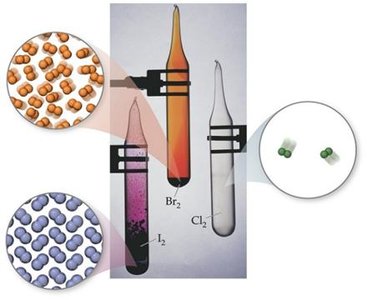 Halogens in different physical states