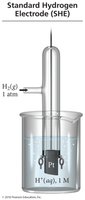 Standard hydrogen electrode (SHE) apparatus