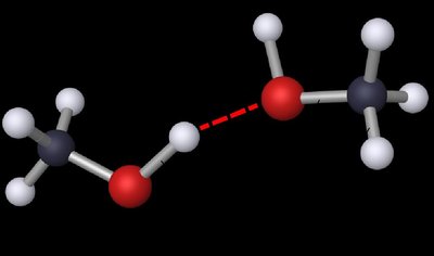 Molecular model showing intermolecular hydrogen bonding