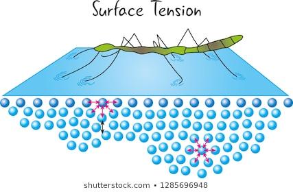 Surface tension illustration