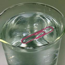 Paperclip floating on water due to surface tension